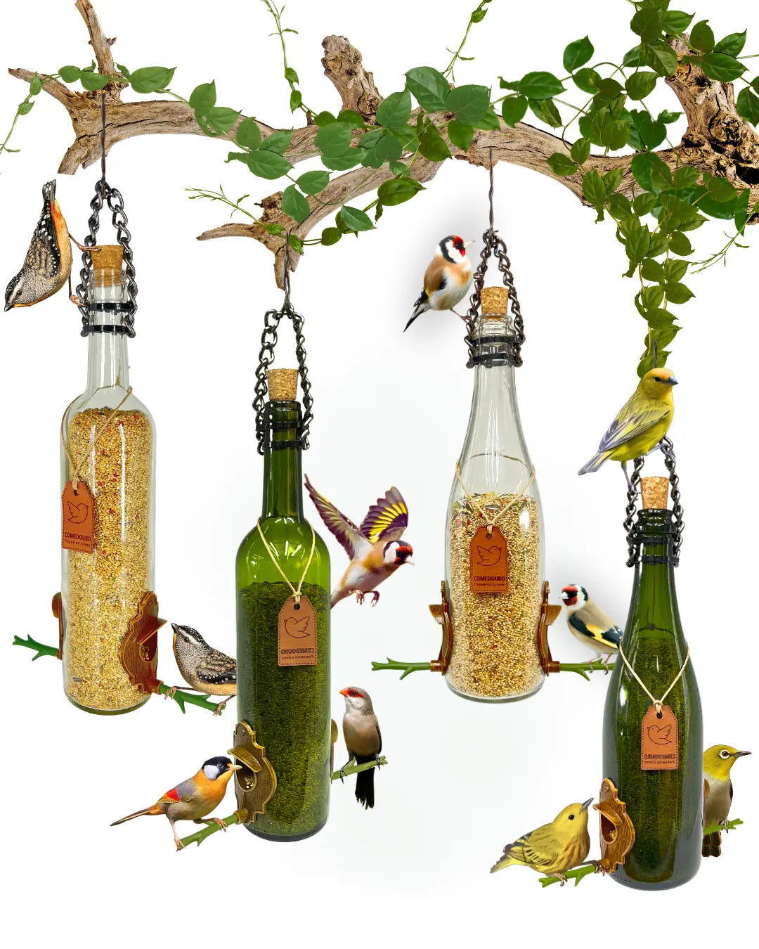 KIT 4 Comedouros Pássaros Livres 2 Champanhe Verde e Branco e 2 Vinho Verde e Branco