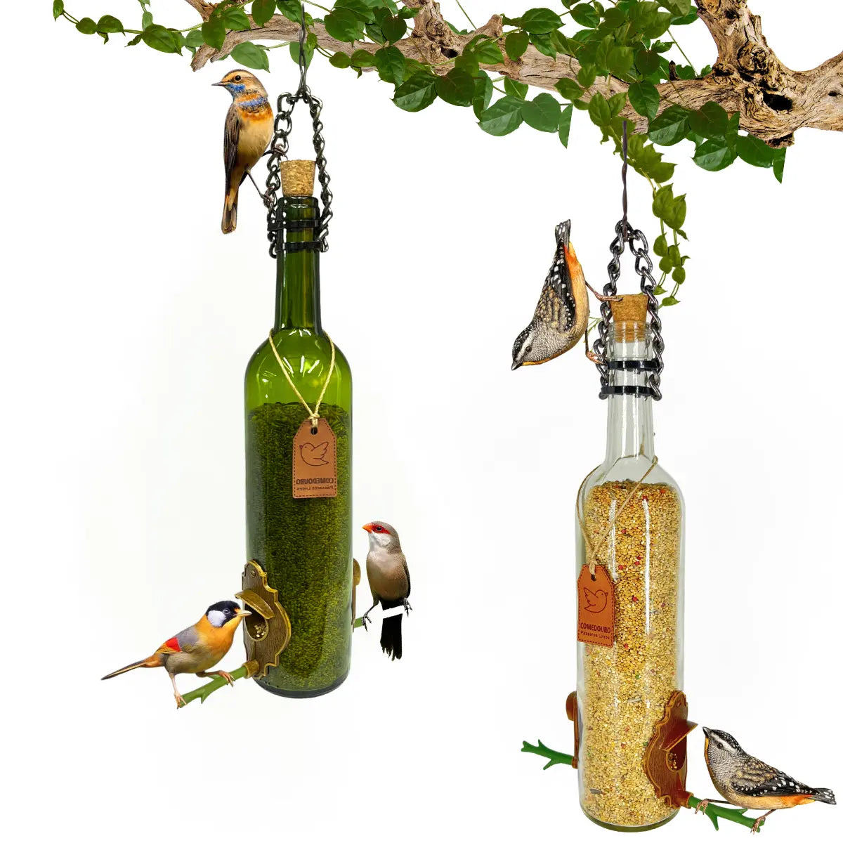 KIT 4 Comedouros Pássaros Livres 2 Champanhe Verde e Branco e 2 Vinho Verde e Branco