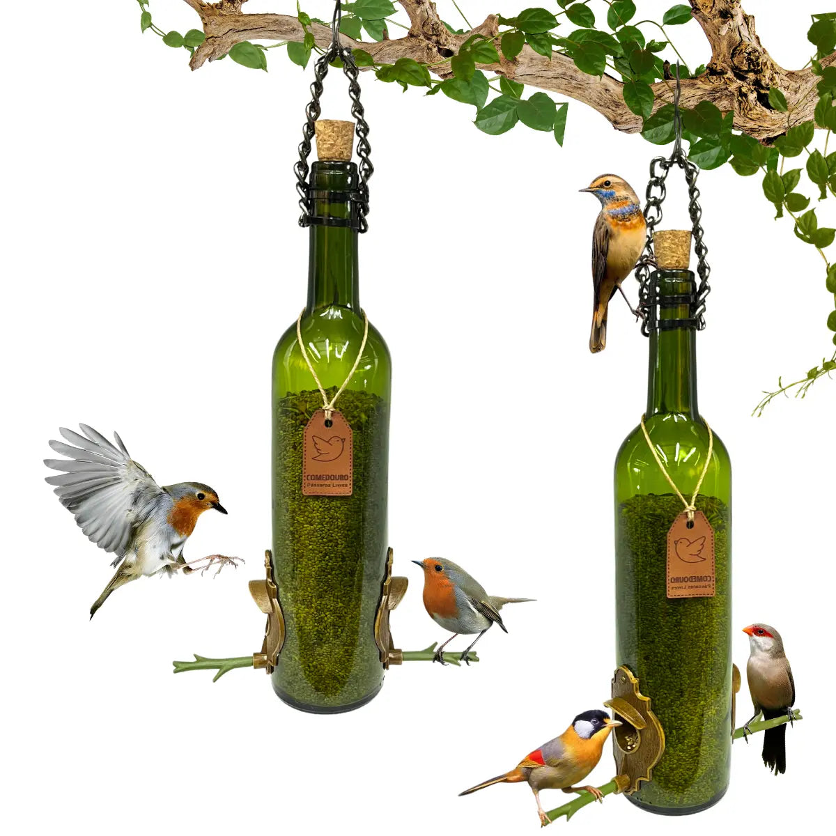 Kit 2 Comedouros Pássaros Livres Vinho Verde