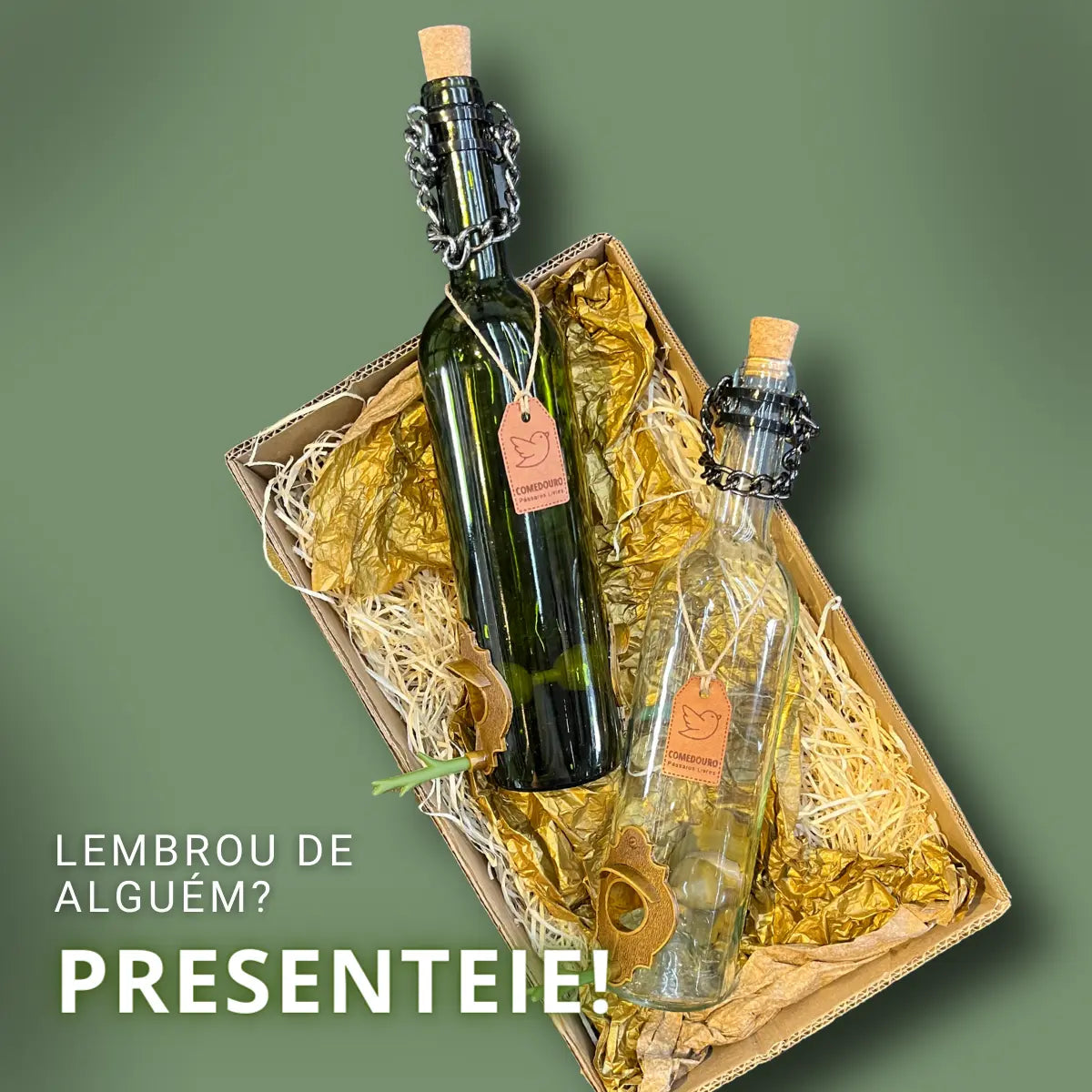 KIT 4 Comedouros Pássaros Livres 2 Champanhe Verde e Branco e 2 Vinho Verde e Branco