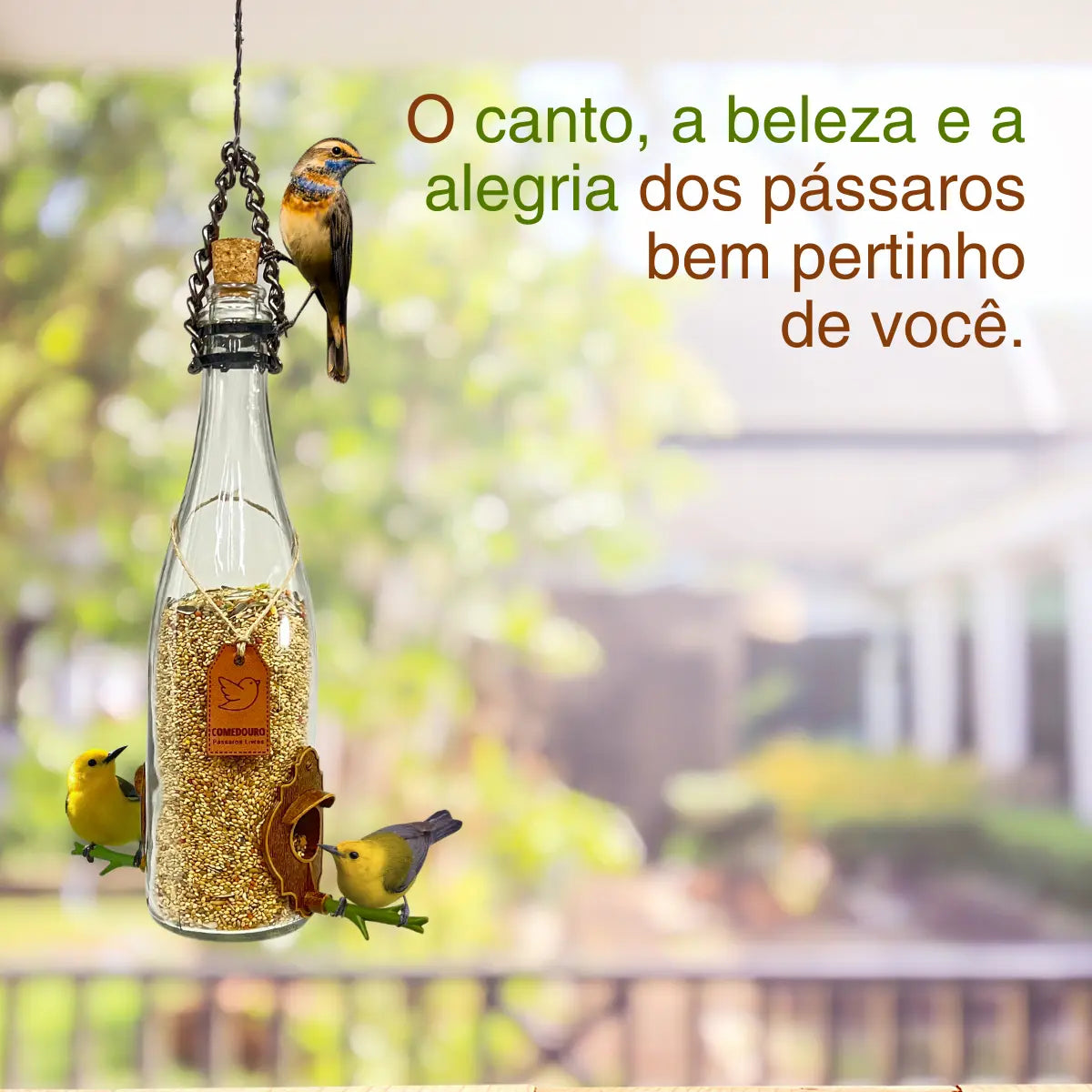 KIT 4 Comedouros Pássaros Livres 2 Champanhe Verde e Branco e 2 Vinho Verde e Branco