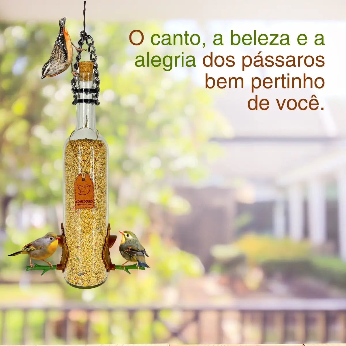KIT 4 Comedouros Pássaros Livres 2 Champanhe Verde e Branco e 2 Vinho Verde e Branco
