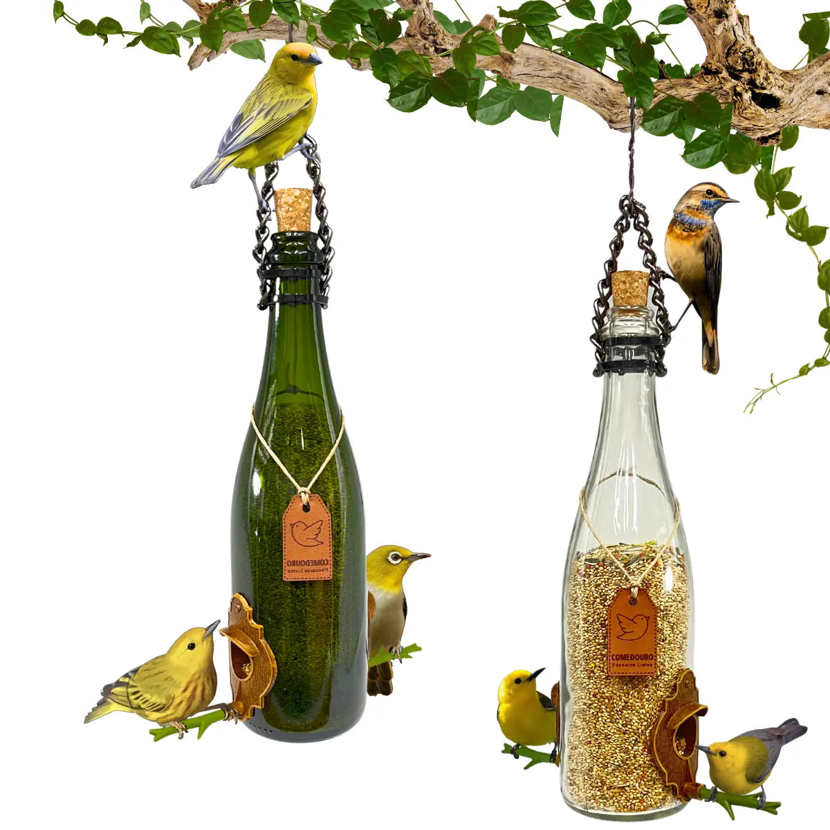 KIT 4 Comedouros Pássaros Livres 2 Champanhe Verde e Branco e 2 Vinho Verde e Branco