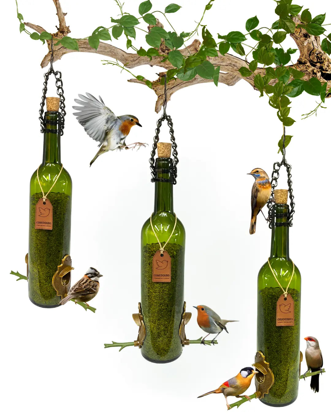 Kit 3 Comedouros Pássaros Livres Vinho Verde