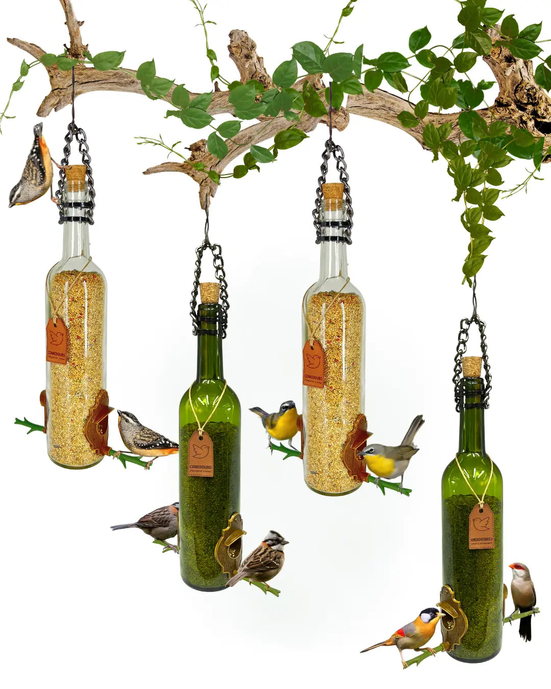 Kit 4 Comedouros Pássaros Livres 2 Vinho Verde e 2 Vinho Branco