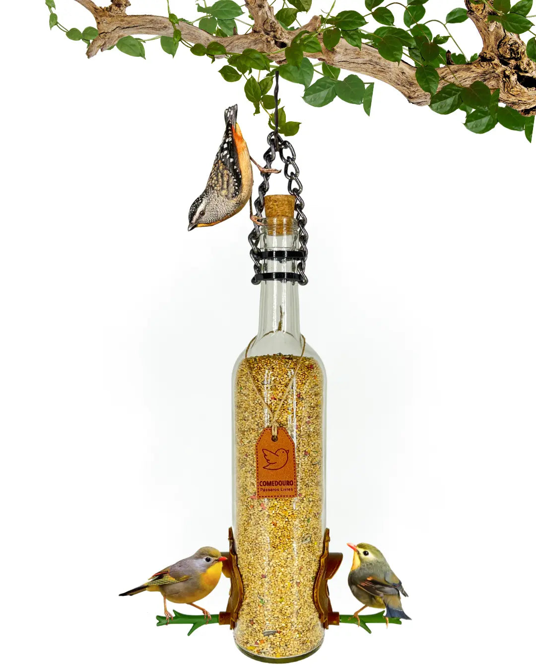 Comedouro Pássaros Livres Vinho Branco