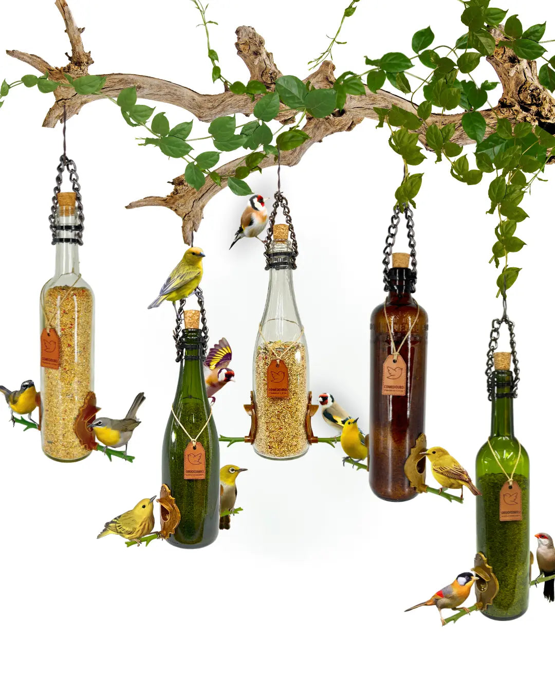 Kit 5 Comedouros Pássaros Livres Todos os Modelos