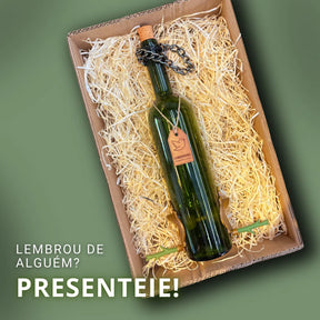 Kit 2 Comedouros Pássaros Livres. Vinho Verde