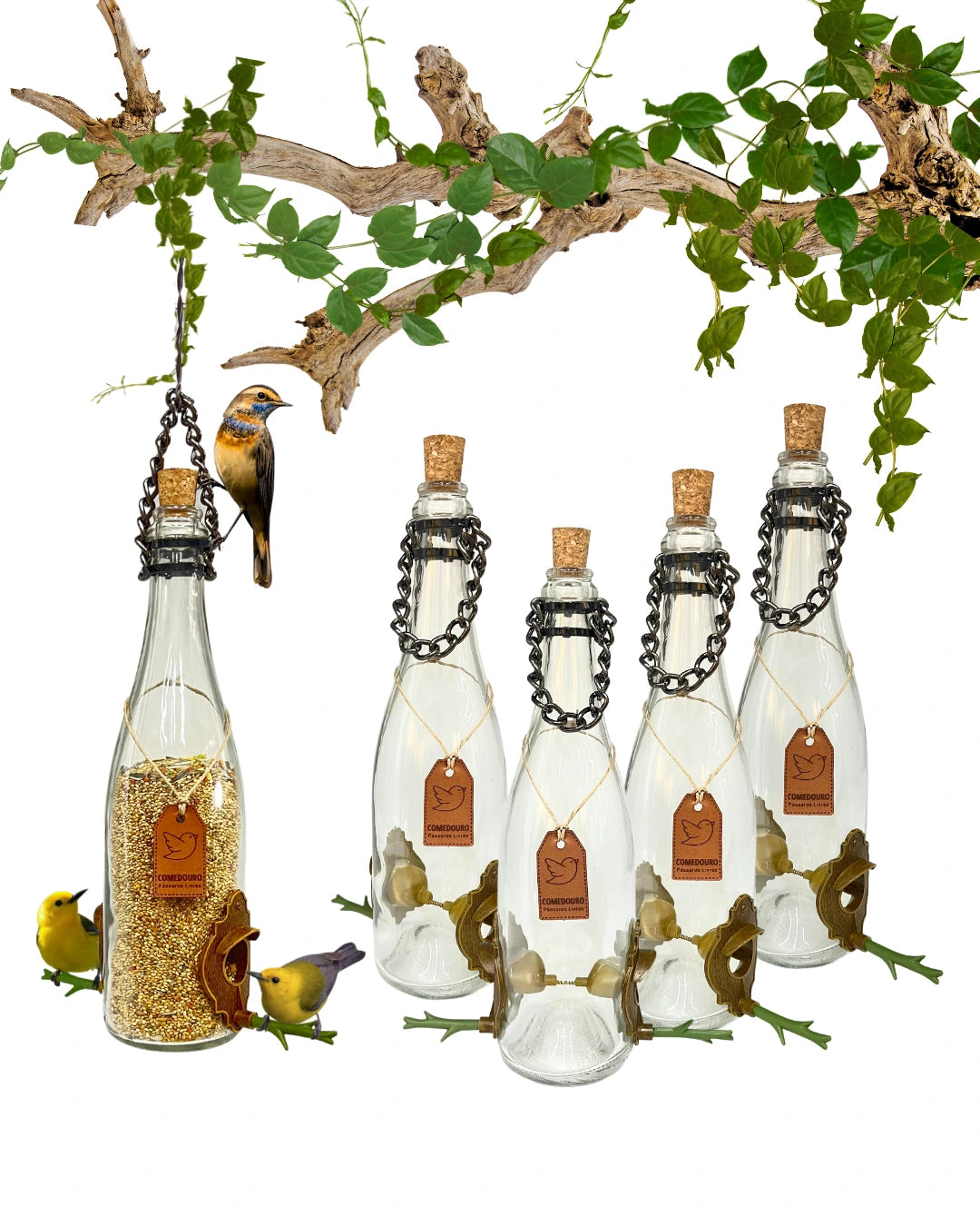 Kit 5 Comedouros Pássaros Livres Champanhe Branca