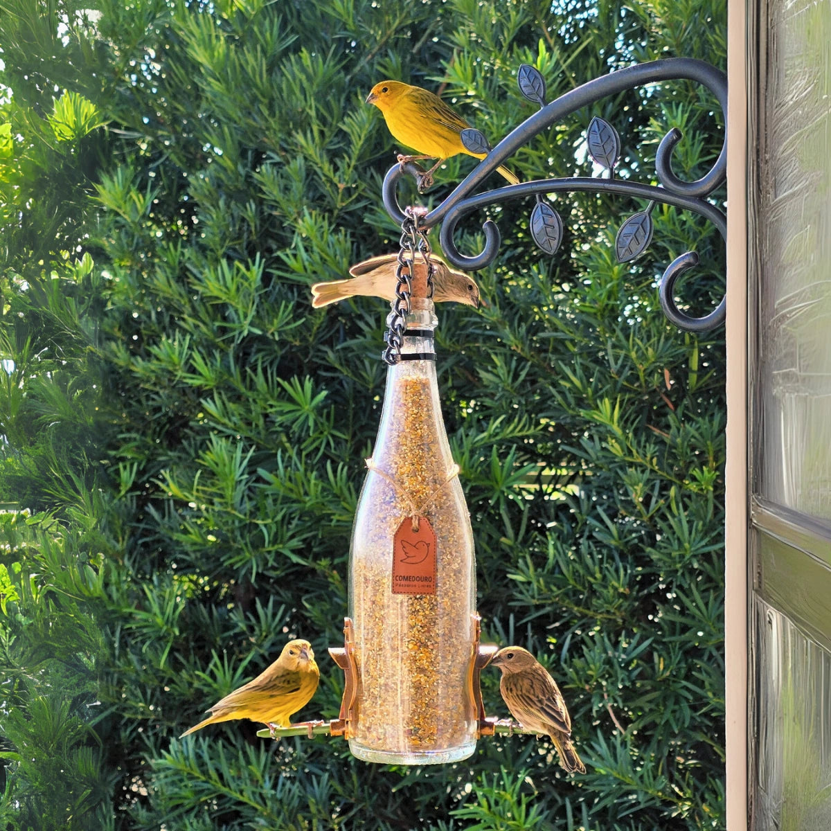 Comedouro Pássaros Livres Champanhe Branca