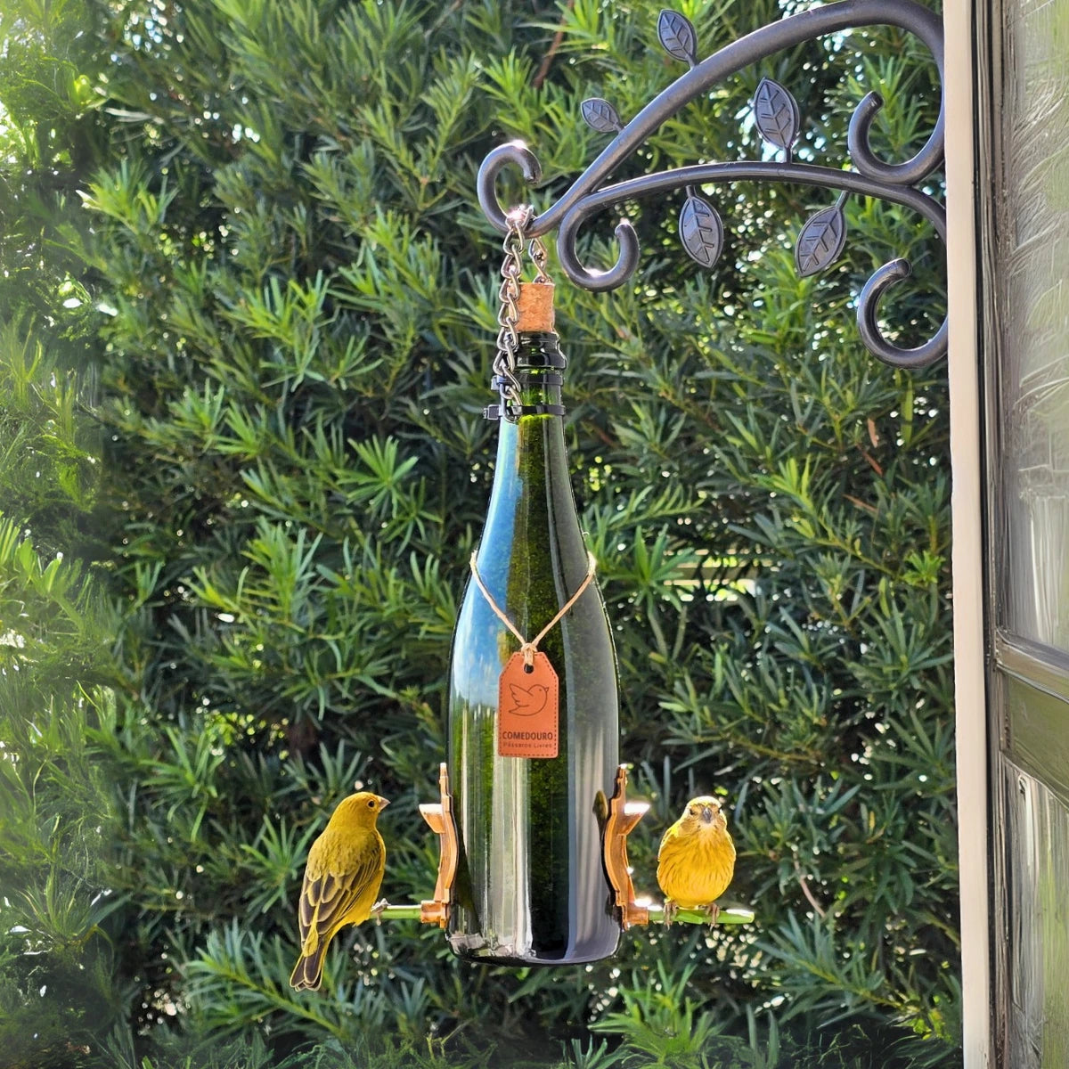 Comedouro Pássaros Livres Champanhe Verde