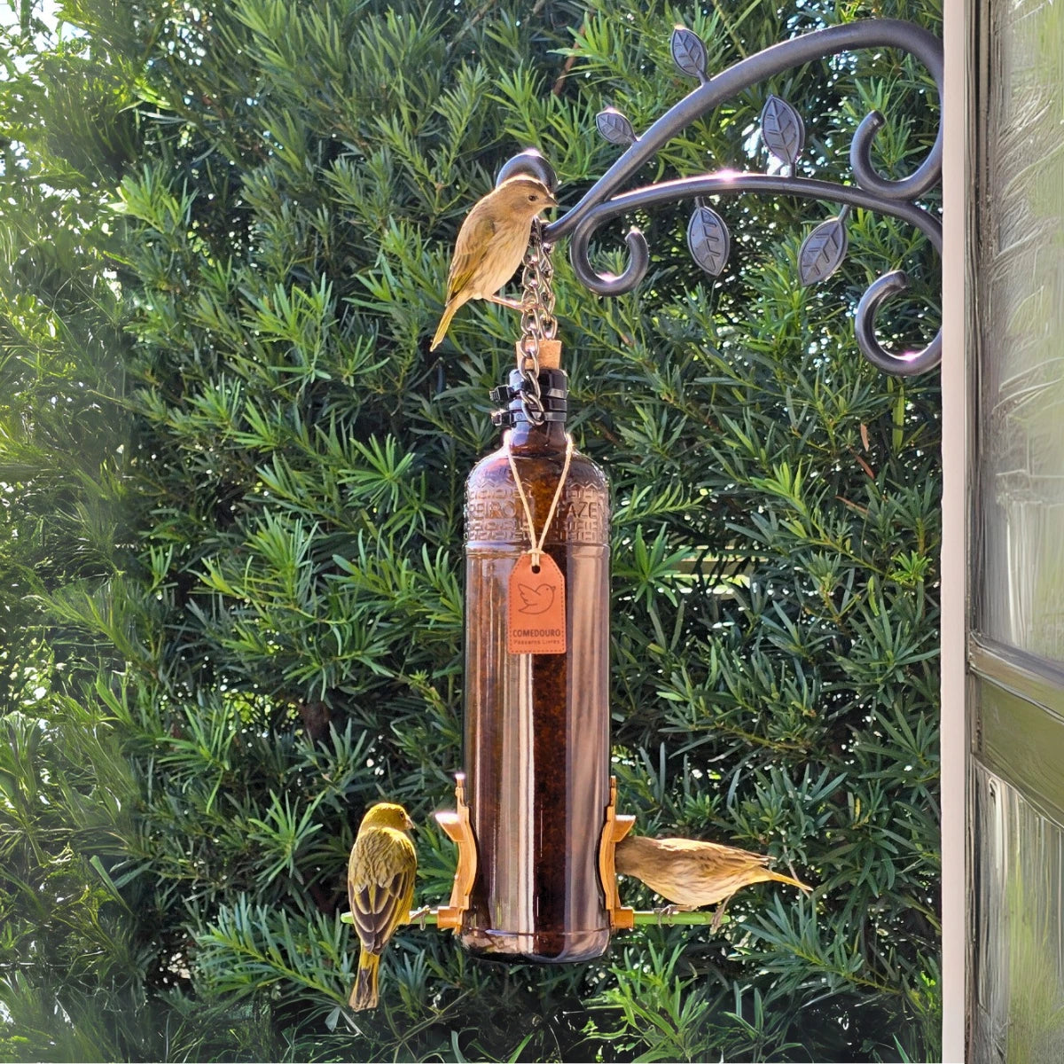 Comedouro Pássaros Livres Velho Barreiro