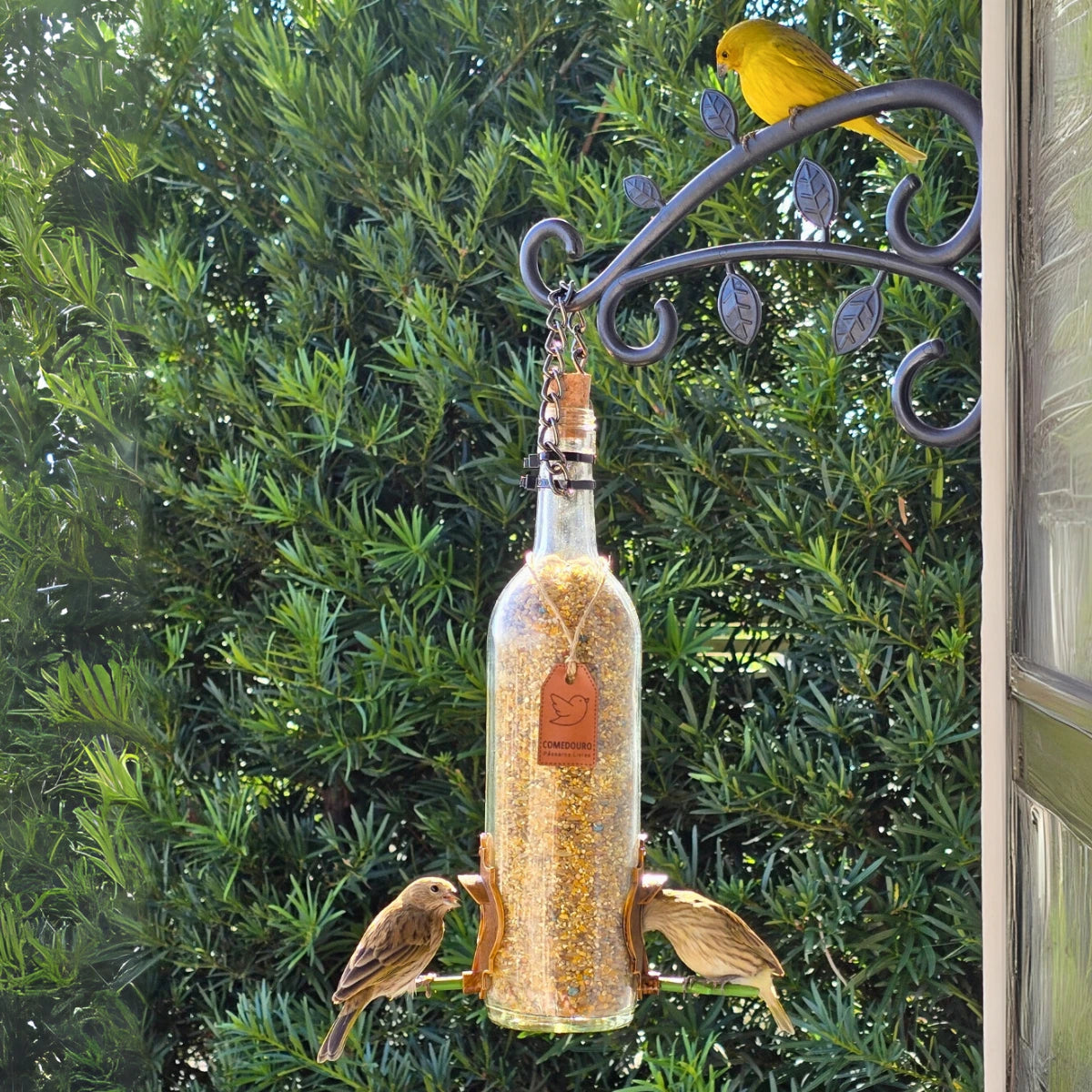 Comedouro Pássaros Livres Vinho Branco