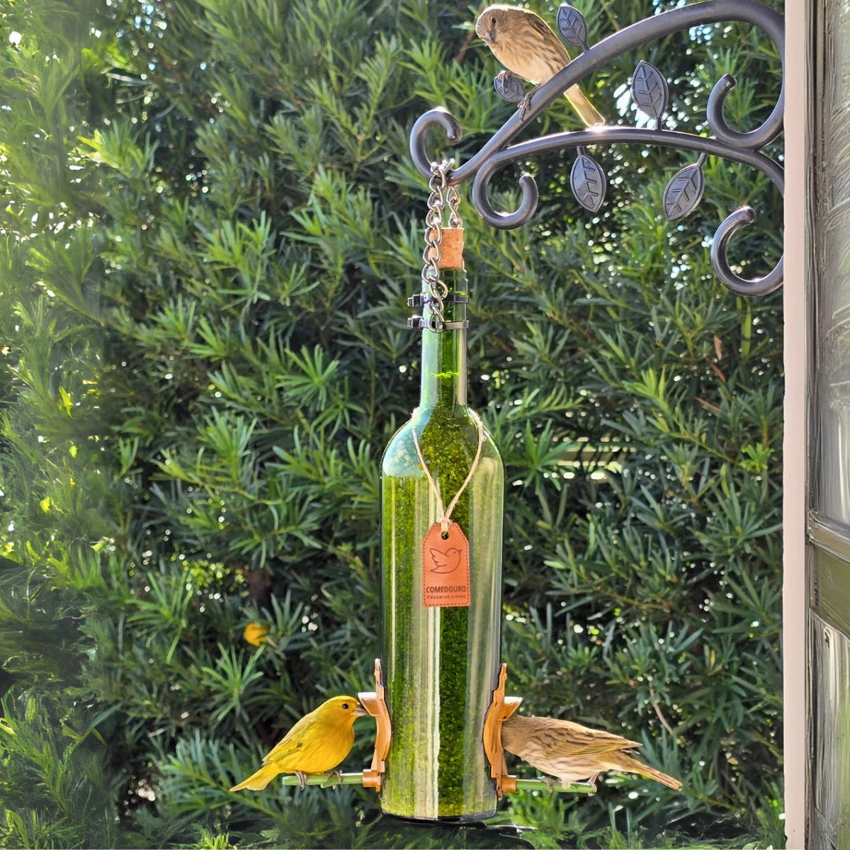Comedouro Pássaros Livres Vinho Verde