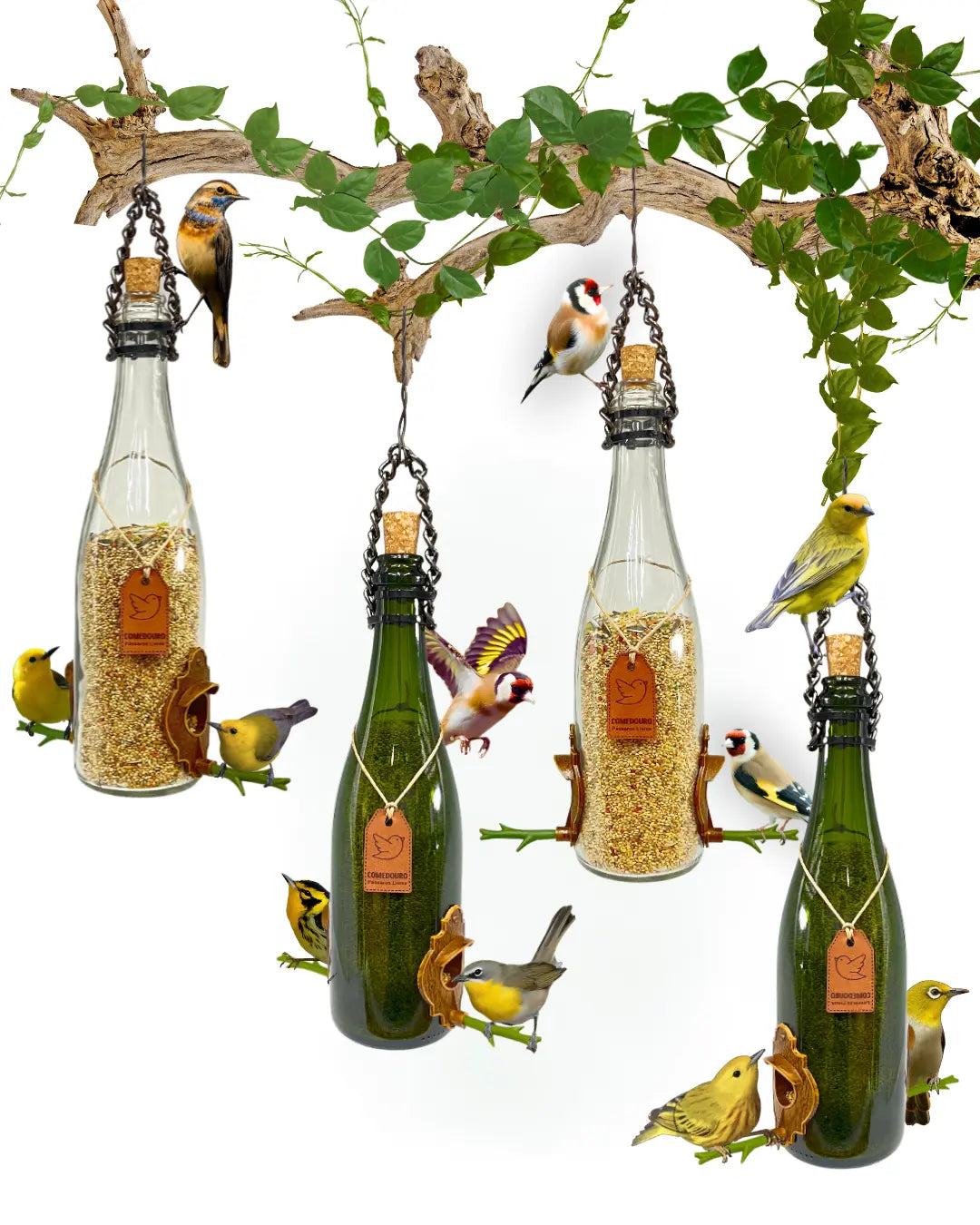 Kit 4 Comedouros. 2 Champanhe Verde e 2 Champanhe Branca