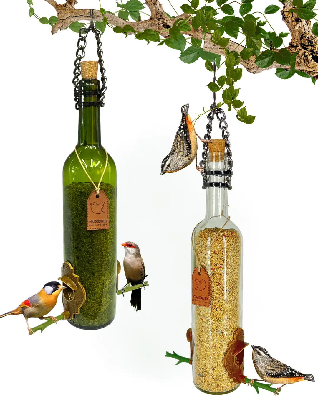 Kit 2 Comedouros Pássaros Livres Vinho Verde e Branco