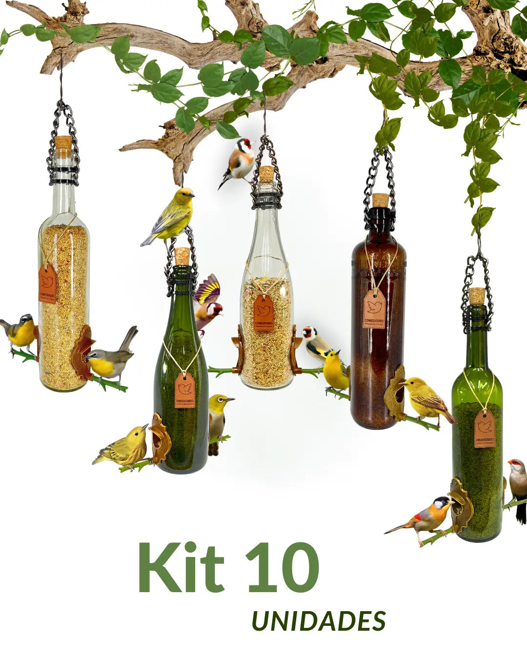 Kit 10 Comedouros Pássaros Livres. 2 de cada modelo